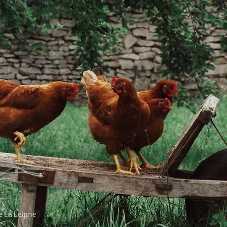 Les Granges De La Leigne, Ruffec