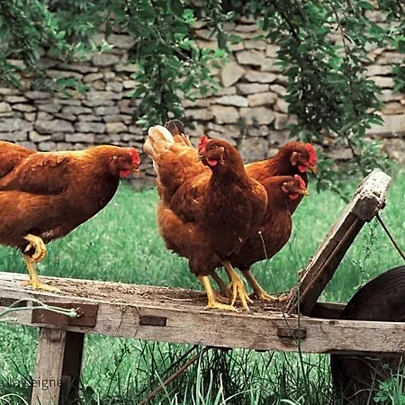 Les Granges De La Leigne, Ruffec Nocleg ze śniadaniem