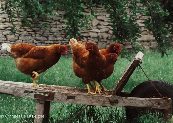 Les Granges De La Leigne, Ruffec